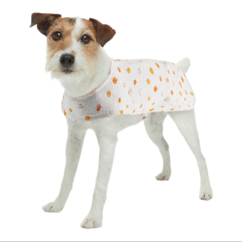NWT Dog Sweater OUTFIT PJS Pajamas HALLOWEEN Harvest BODYSUIT